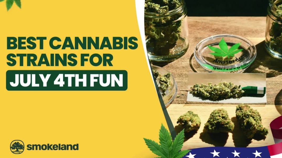From Daytime BBQs to Nighttime Fireworks: Best Weed Strains for 4th of July 2025