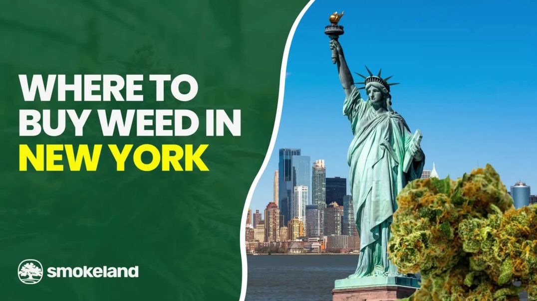 ⁣Where to Buy Weed in New York: A Guide to In-Store Shopping