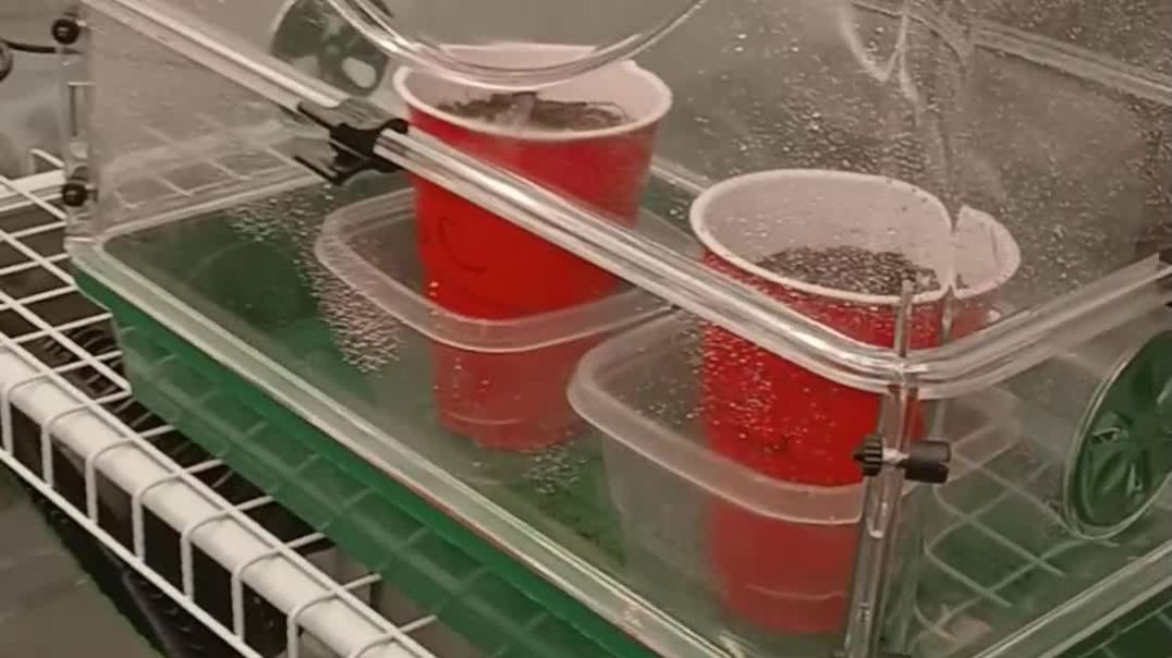 ⁣first time grower how's my setup
