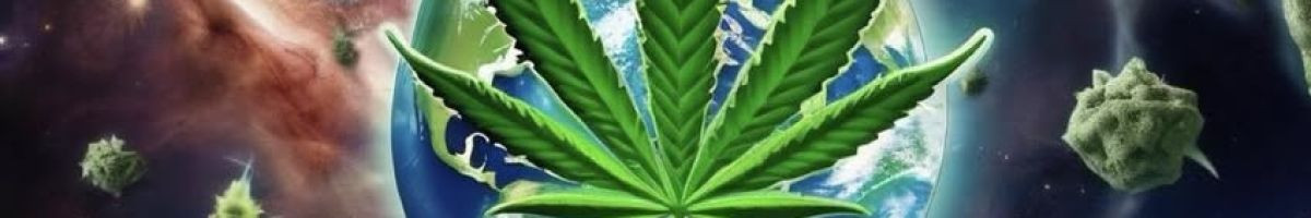 Cannabisresearchstore