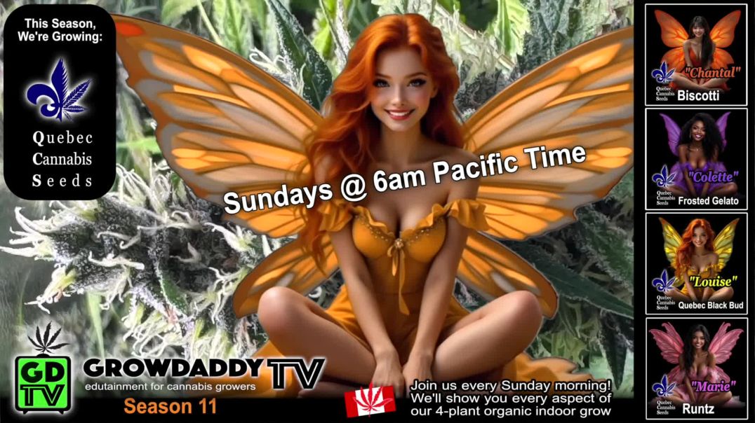 GrowDaddyTV C'MON!!! Join Us Every Sunday Morning!!!
