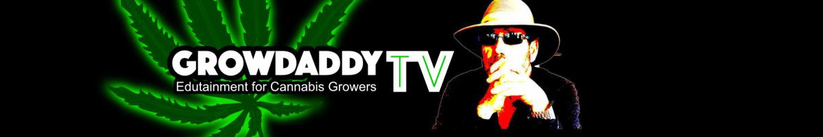 GrowDaddyTV