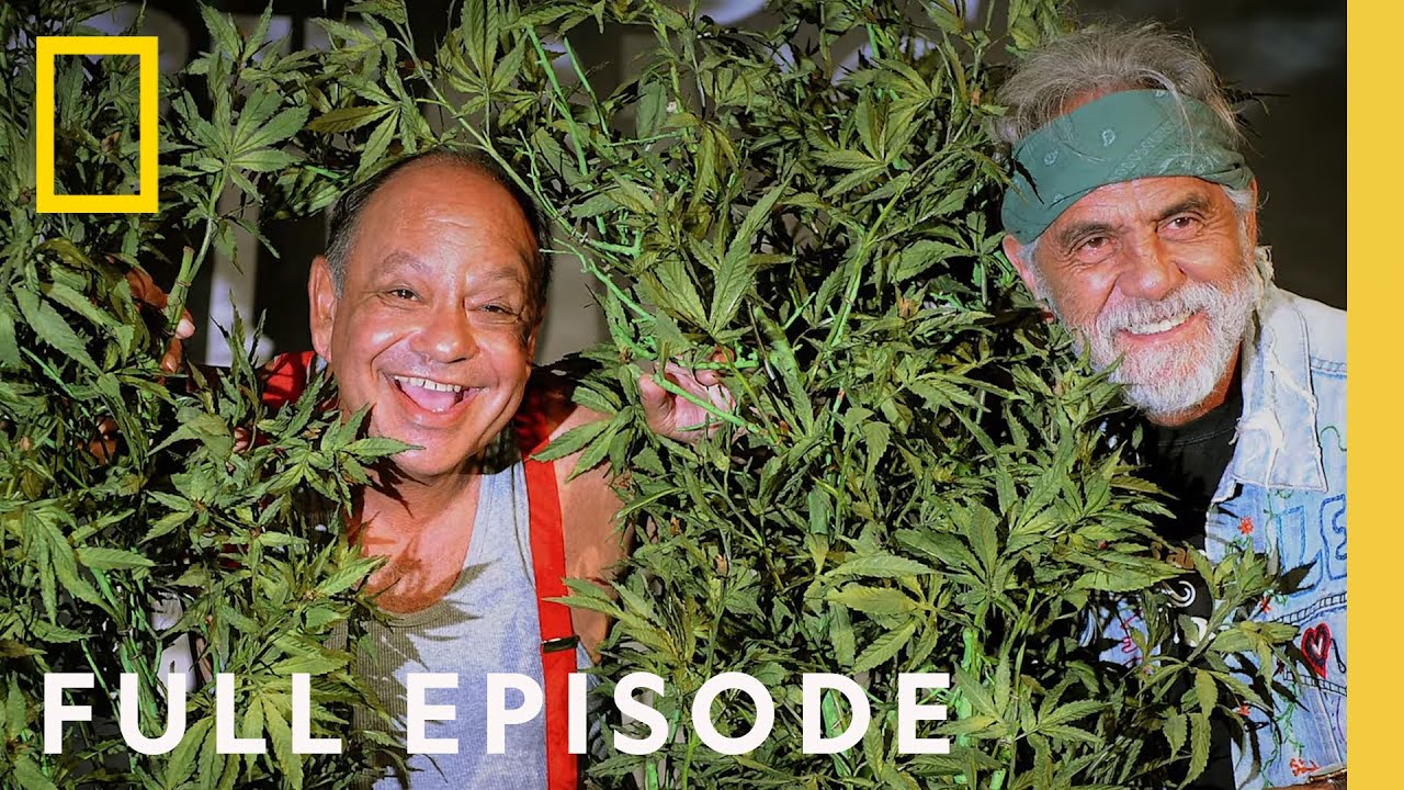 ⁣Legal Marijuana in America: The New Green Rush (Full Episode) | Nat Geo Investigates